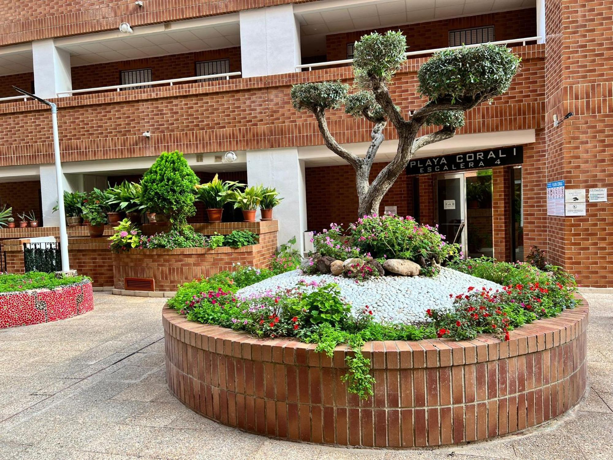 Apartamento Playa Coral I Nº 1083 Oropesa del Mar Exterior foto